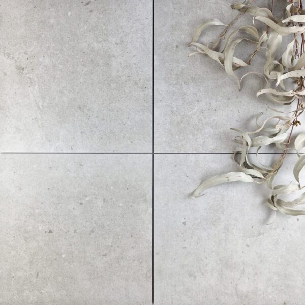 PATRONIC SILVER MATT