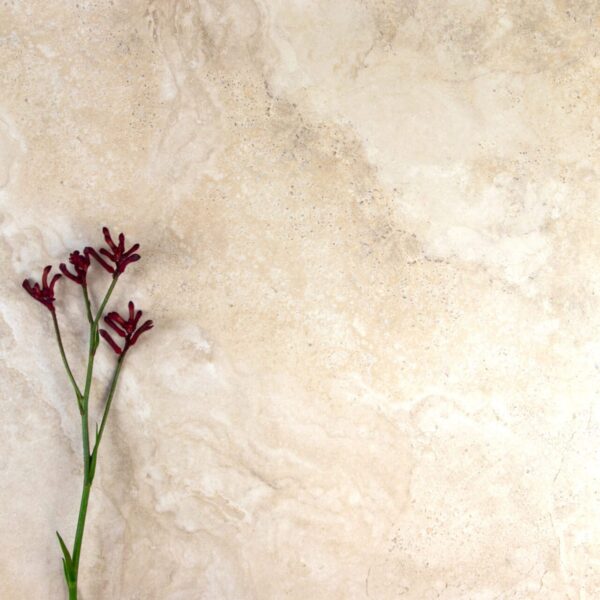 CAVATORE IVORY GRIP EXTERNAL