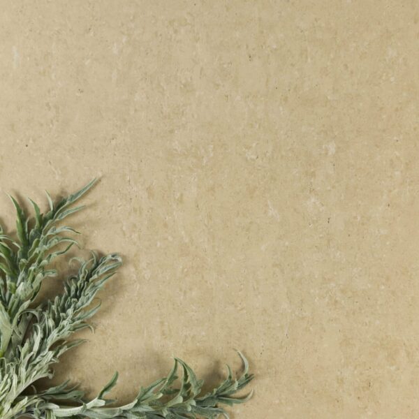 DARK TRAVERTINE POLISHED