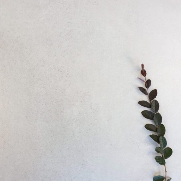 FALKIRK OFF-WHITE MATT