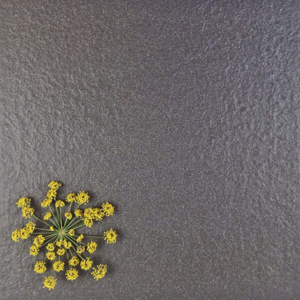 G-SERIES CHARCOAL SHADED BUSHHAMMER