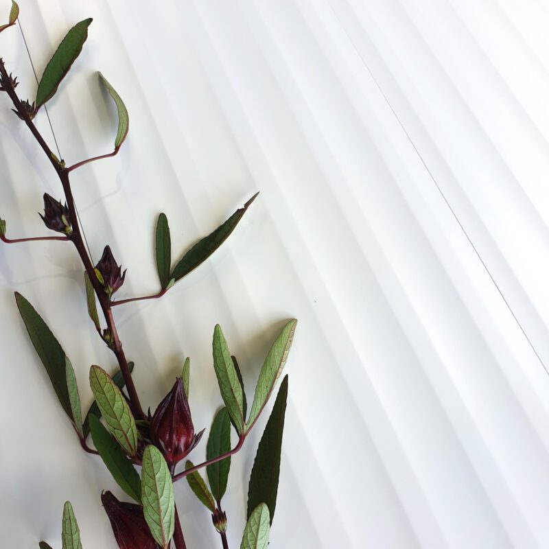 300 x 900mm Venetian Glacier White Wall Tile